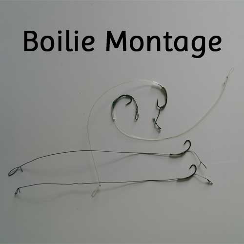 Boilie Montage