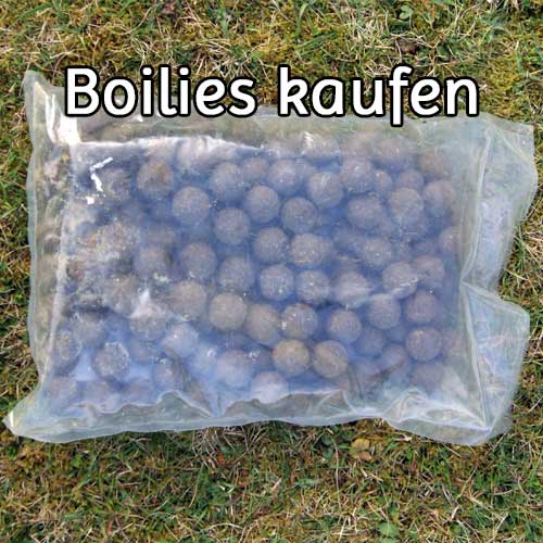 Boilies kaufen