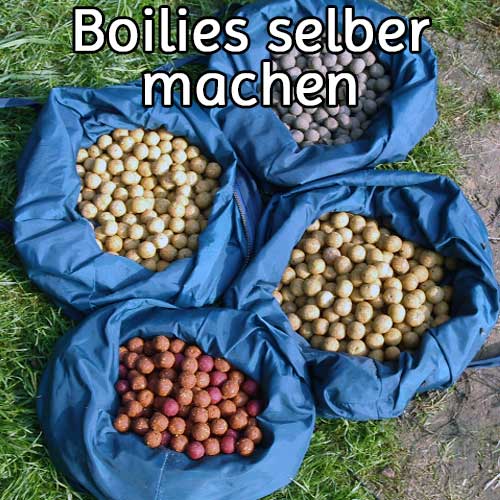 Boilies selber machen