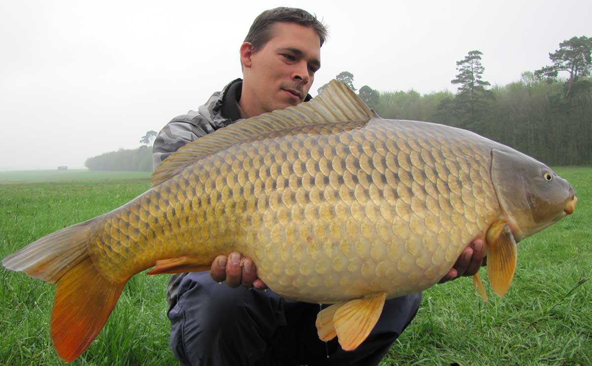 Karpfenangeln mit Boilie